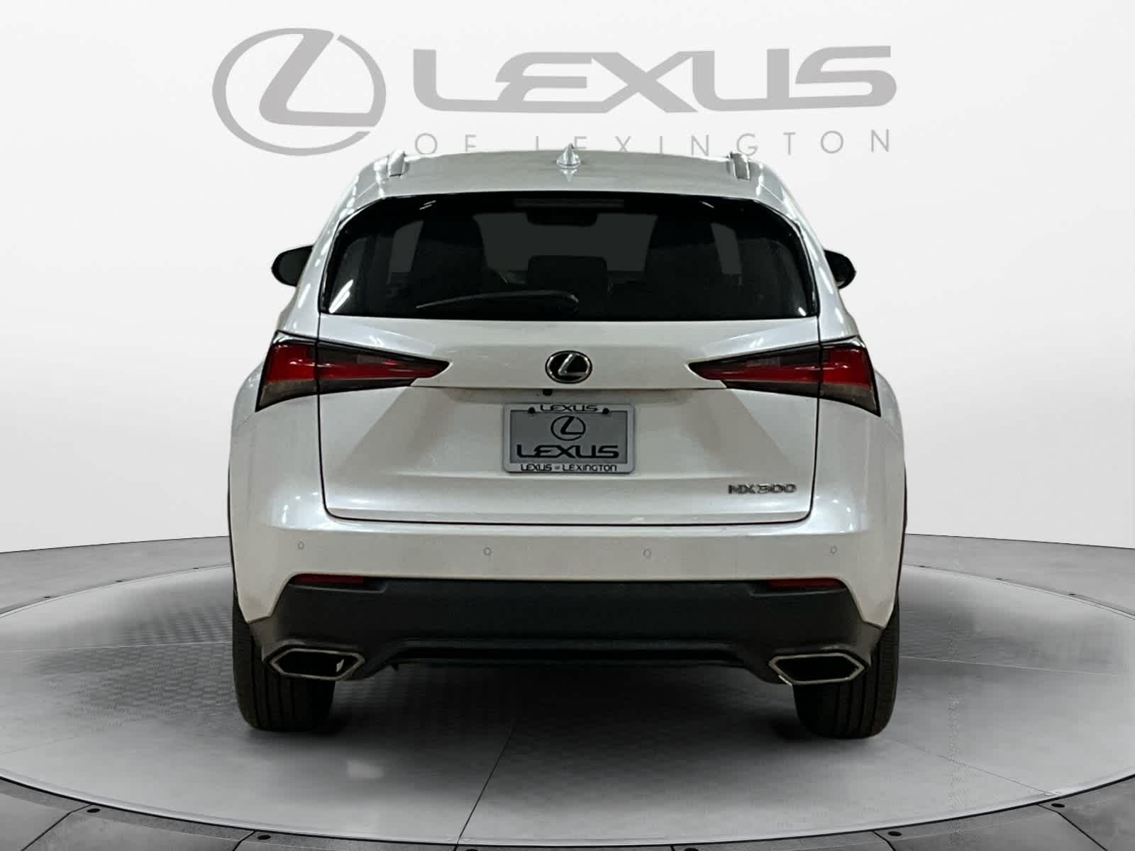 2020 Lexus NX 300 NX 300