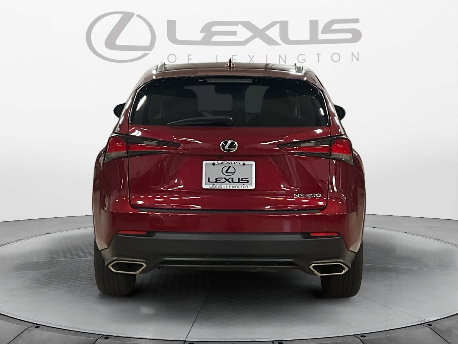 2021 Lexus NX 300 NX 300