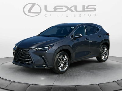 2022 Lexus NX 350 Premium