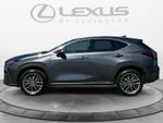 2022 Lexus NX 350 Premium