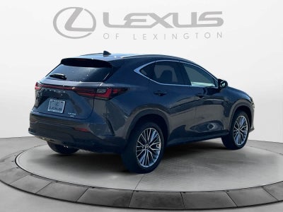 2022 Lexus NX 350 Premium