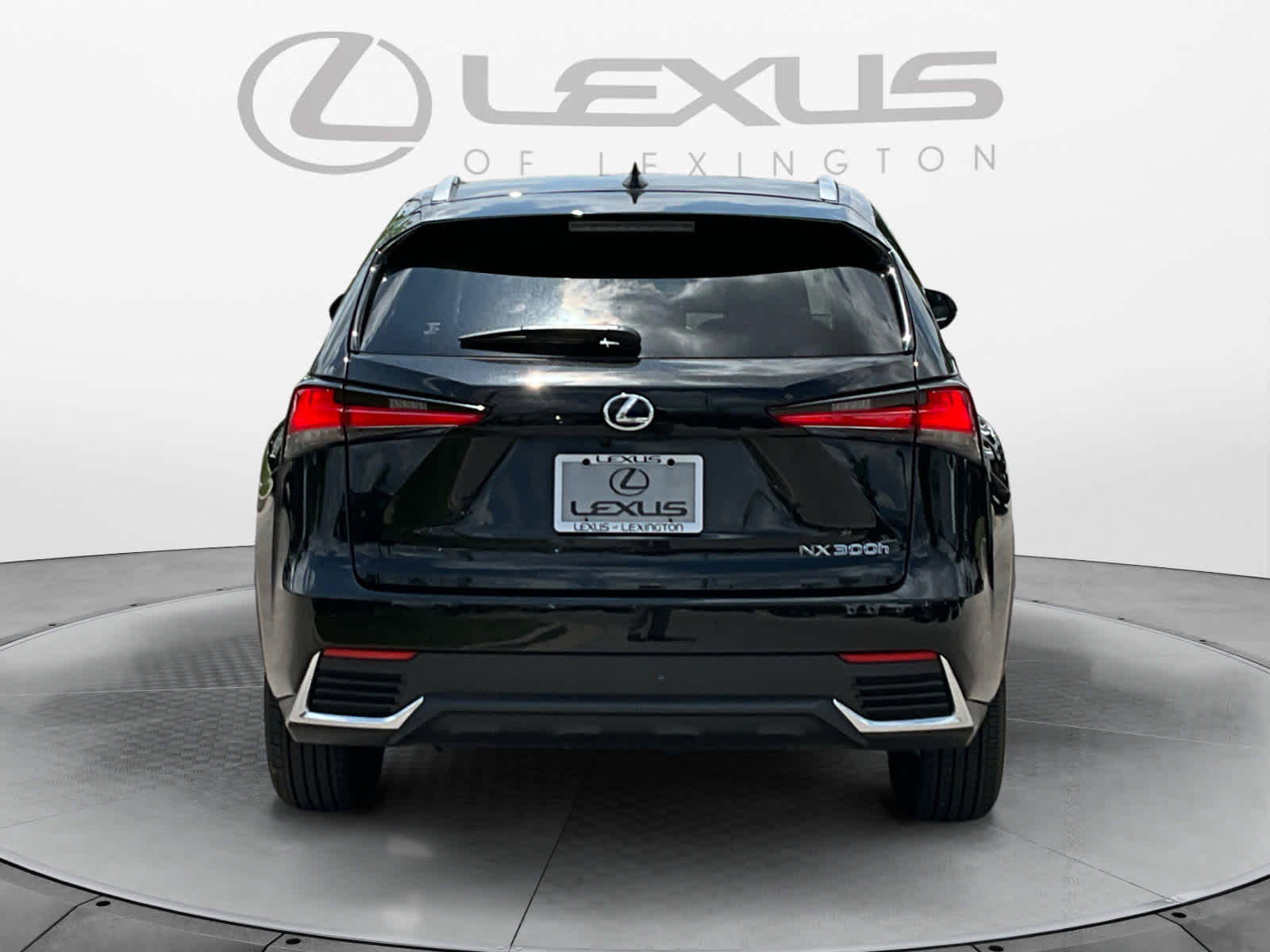 2021 Lexus NX 300h NX 300h