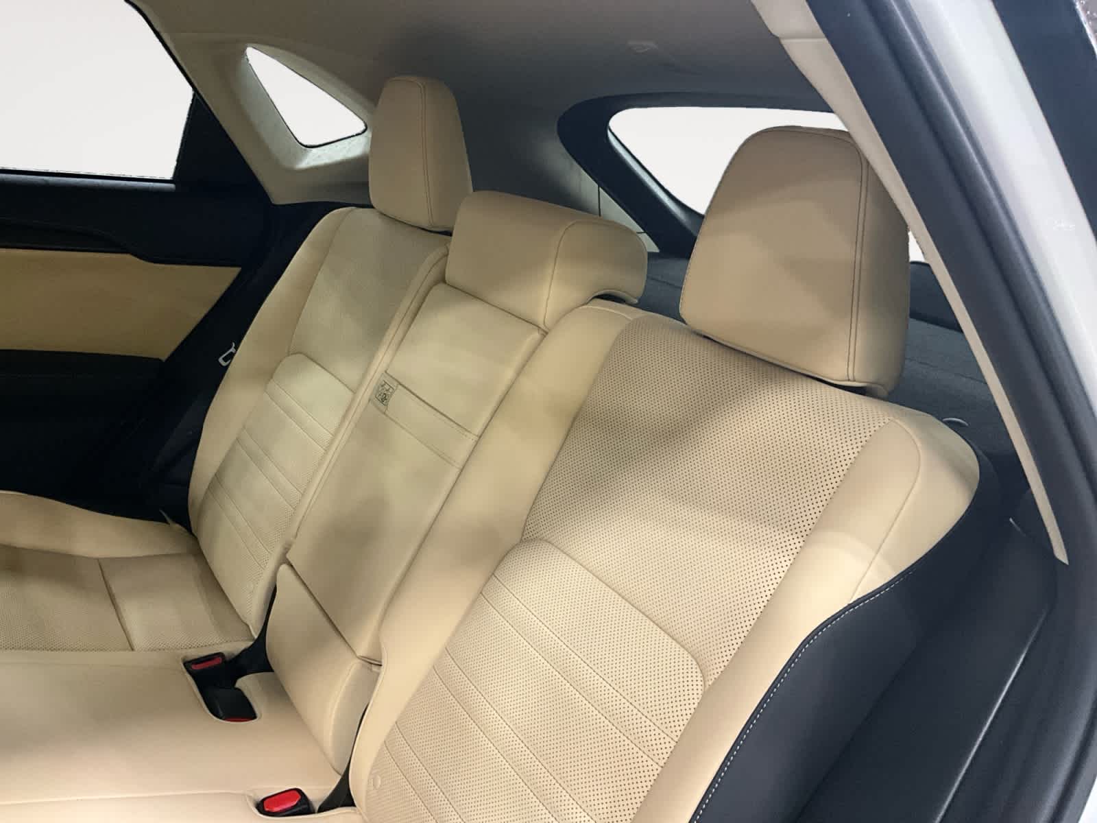 2020 Lexus NX 300h NX 300h