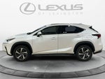 2020 Lexus NX 300h NX 300h