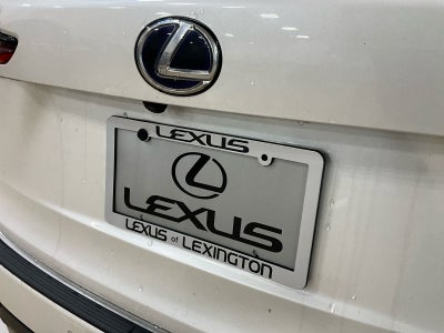 2020 Lexus NX 300h NX 300h