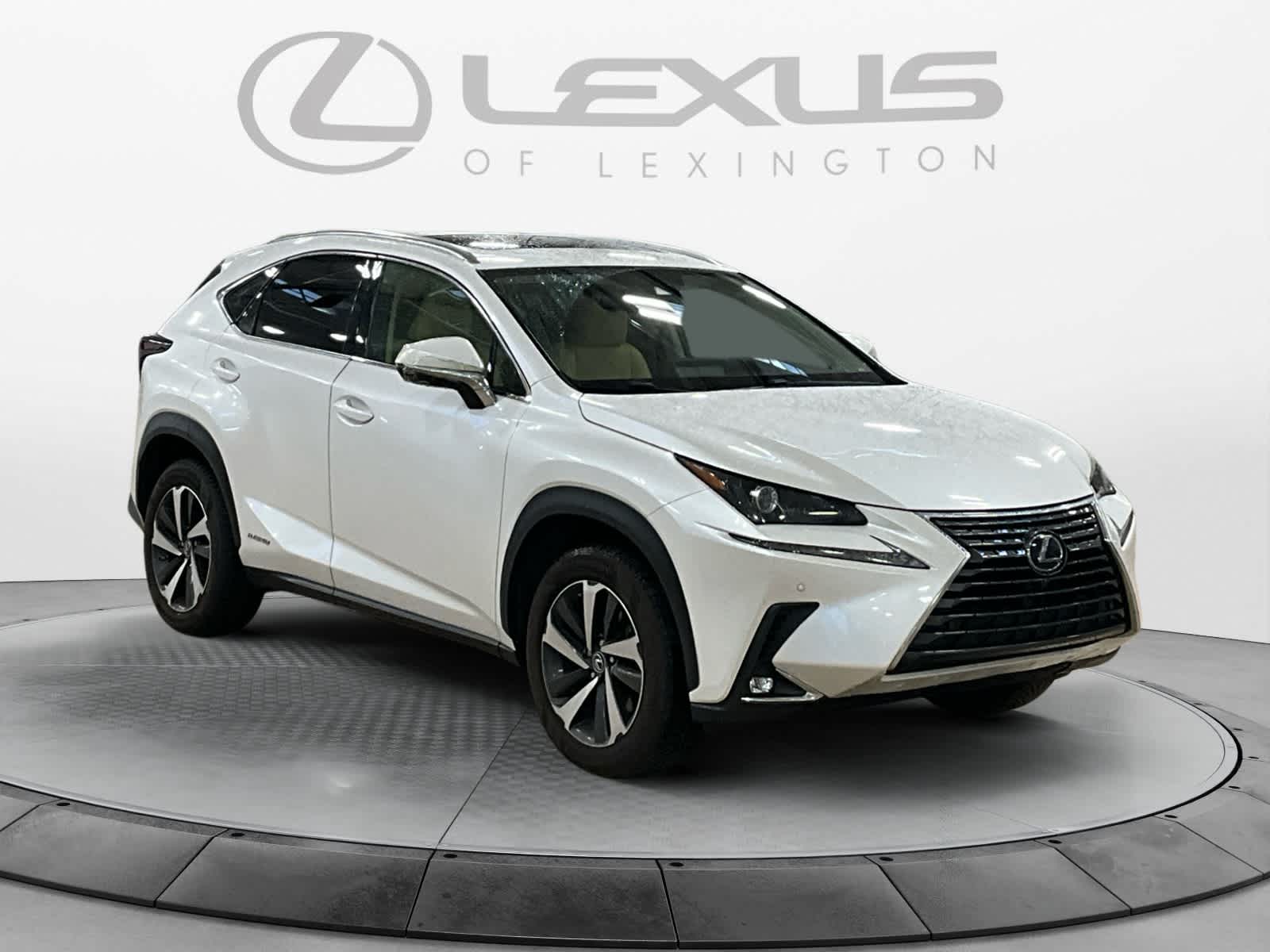 2020 Lexus NX 300h NX 300h