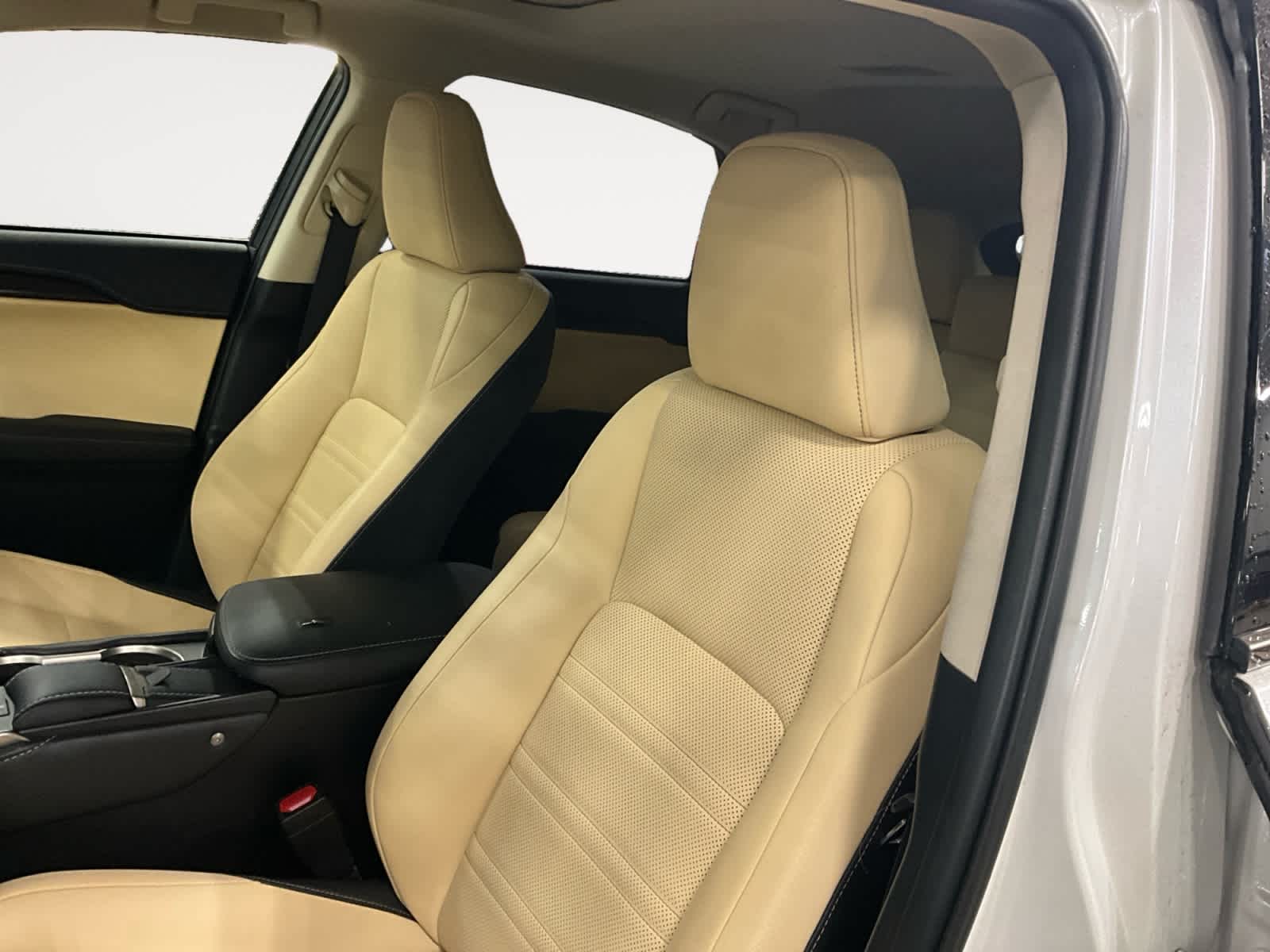 2020 Lexus NX 300h NX 300h