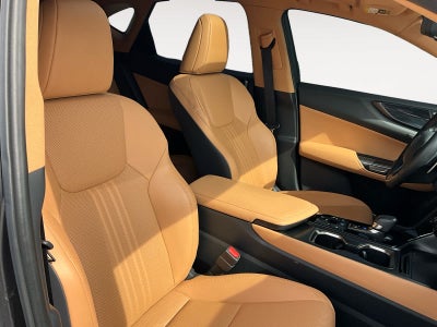 2024 Lexus NX 350h Premium