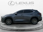 2024 Lexus NX 350h Premium