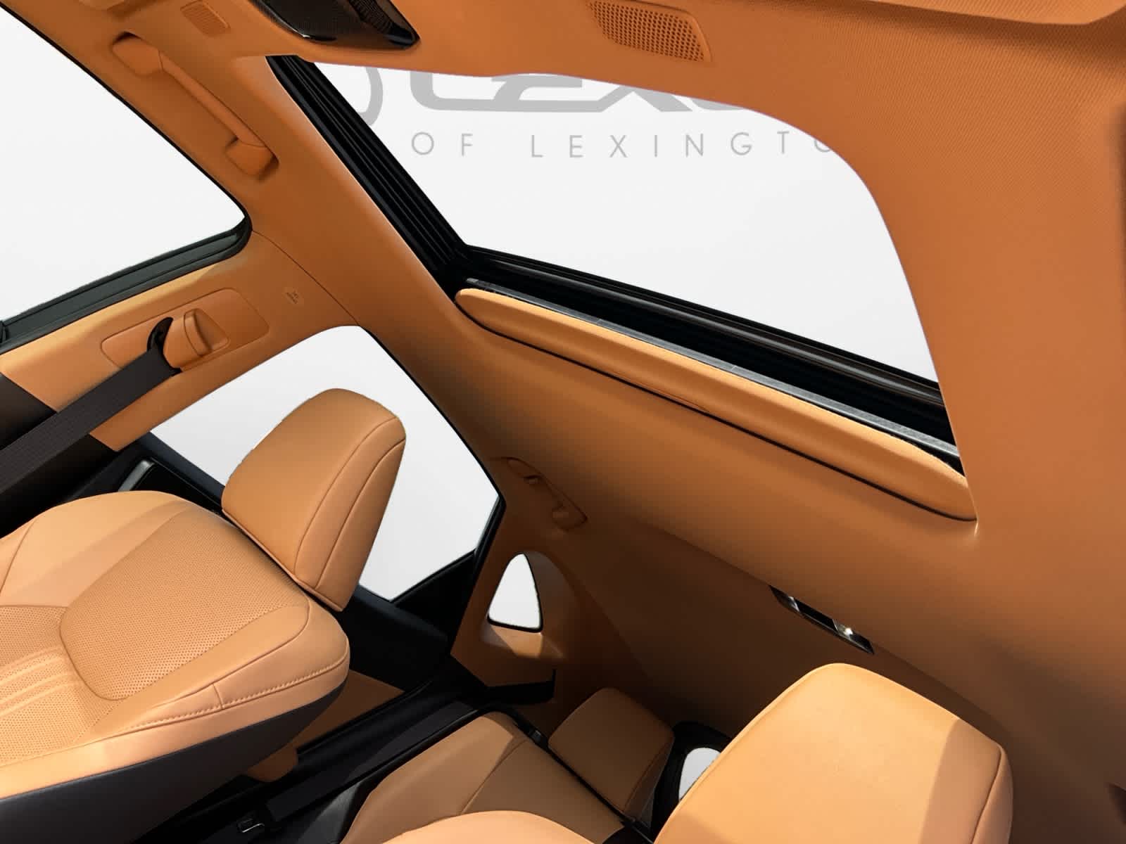 2024 Lexus NX 350h Premium