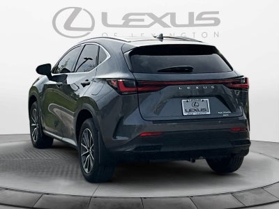 2024 Lexus NX 350h Premium