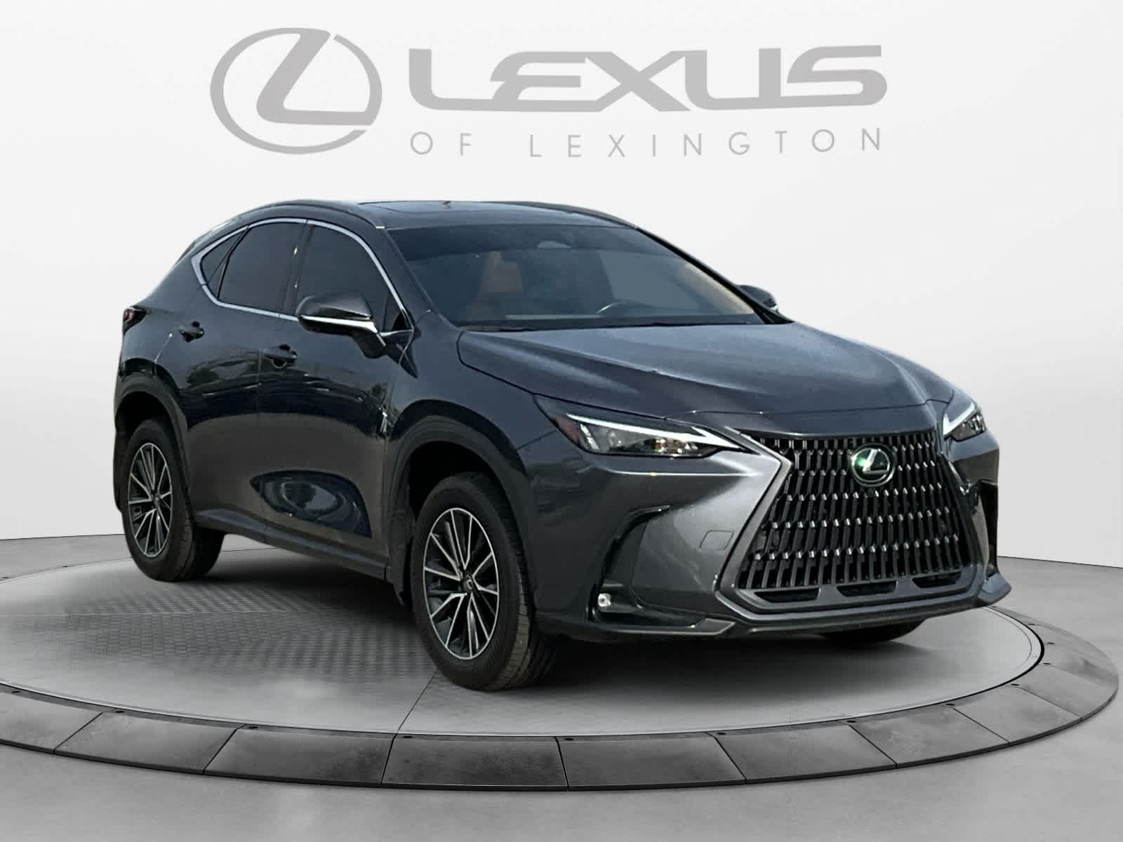 2024 Lexus NX 350h Premium