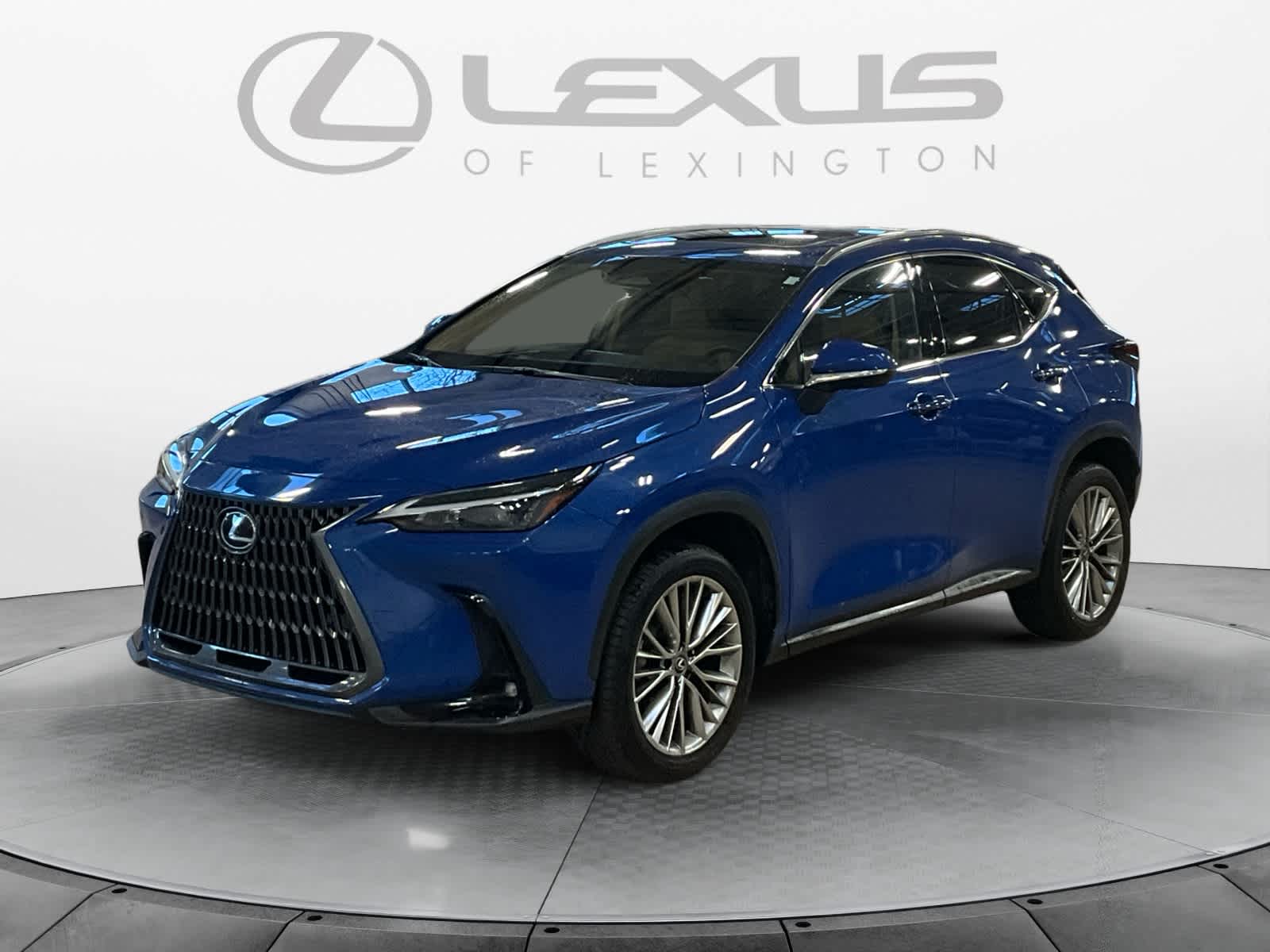 2025 Lexus NX 350h Premium