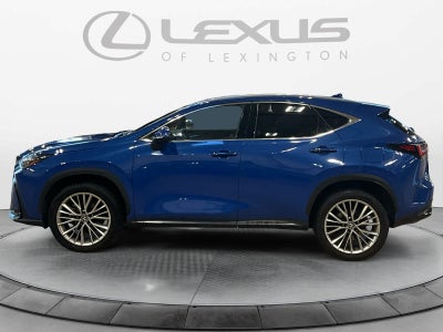 2025 Lexus NX 350h Premium