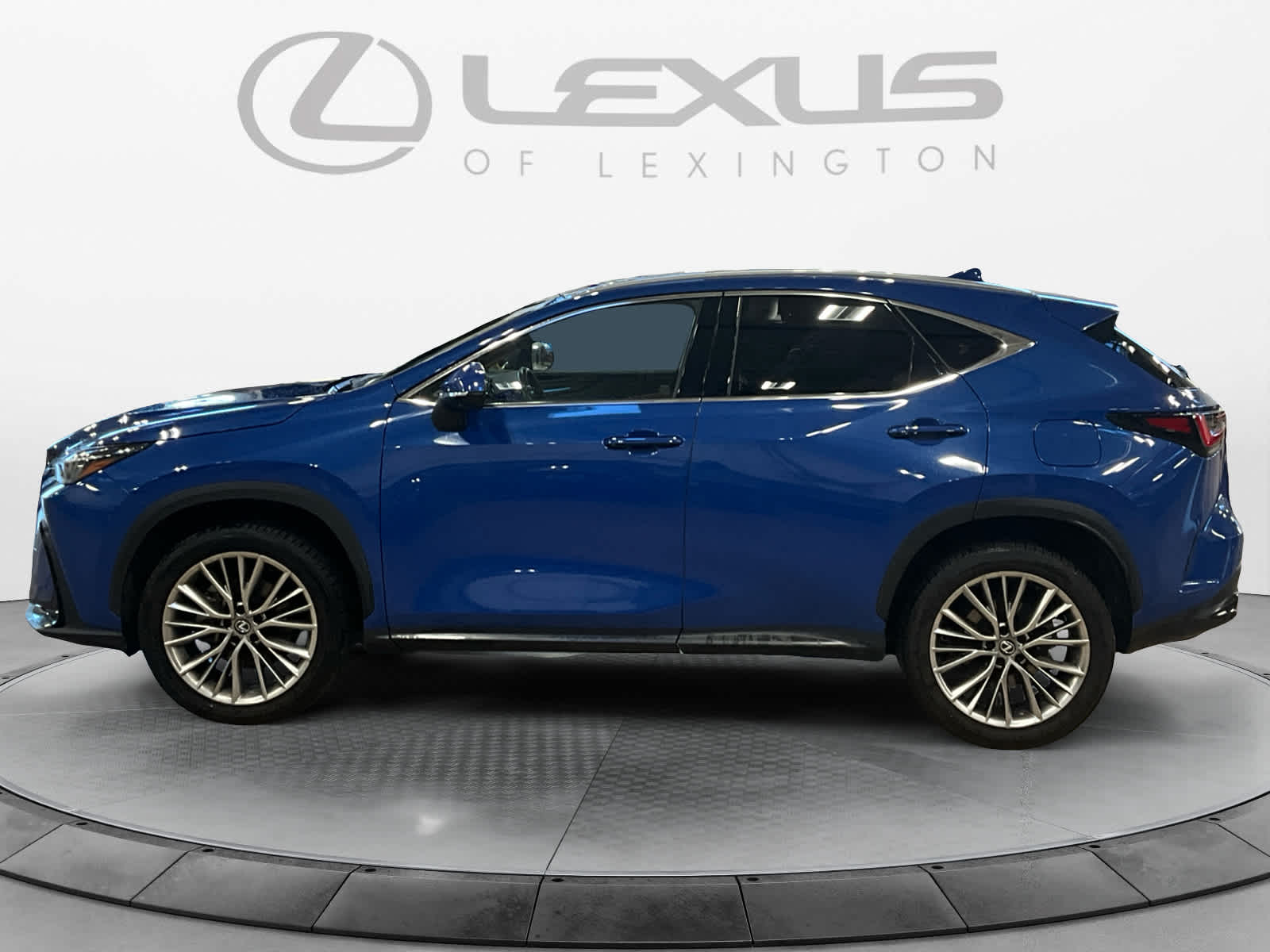 2025 Lexus NX 350h Premium