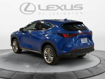 2025 Lexus NX 350h Premium