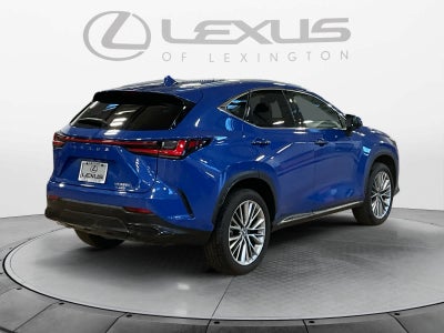 2025 Lexus NX 350h Premium