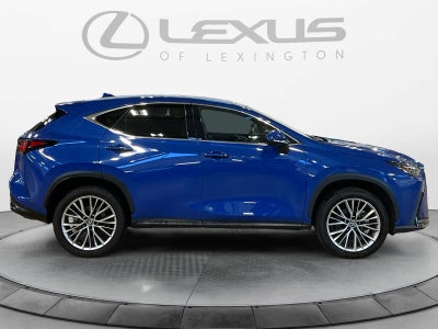 2025 Lexus NX 350h Premium