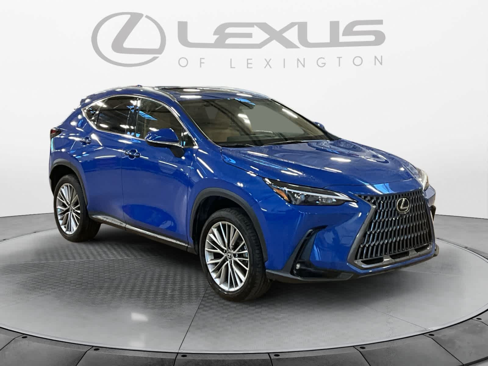 2025 Lexus NX 350h Premium
