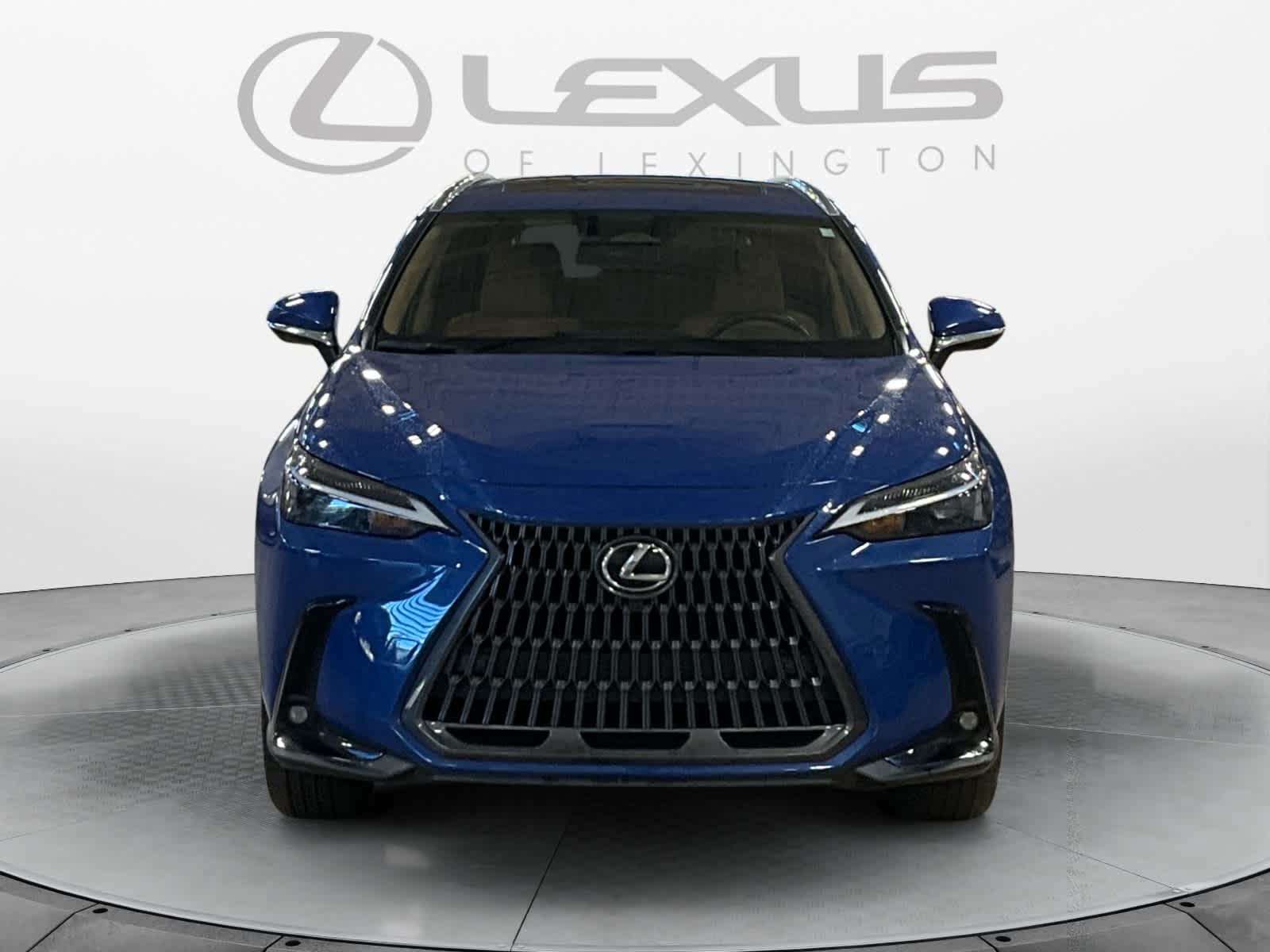 2025 Lexus NX 350h Premium