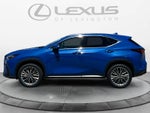 2026 Lexus NX 350 Luxury