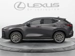 2026 Lexus NX 350h Luxury