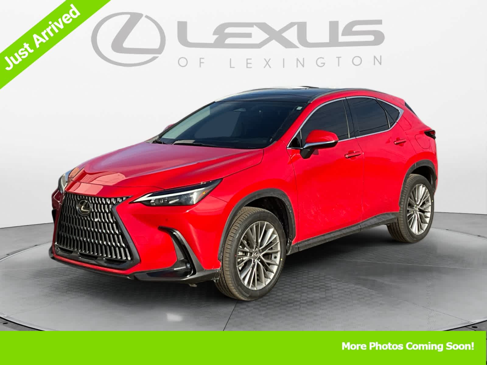 2023 Lexus NX Luxury