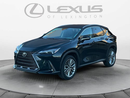 2025 Lexus NX 350h Luxury