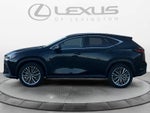 2025 Lexus NX 350h Luxury