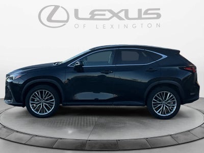 2025 Lexus NX 350h Luxury