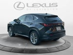 2025 Lexus NX 350h Luxury