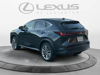 2025 Lexus NX 350h Luxury