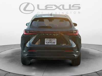 2025 Lexus NX 350h Luxury