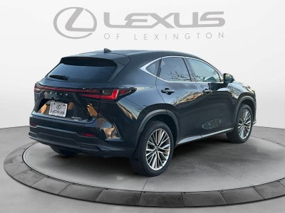 2025 Lexus NX 350h Luxury