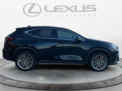 2025 Lexus NX 350h Luxury