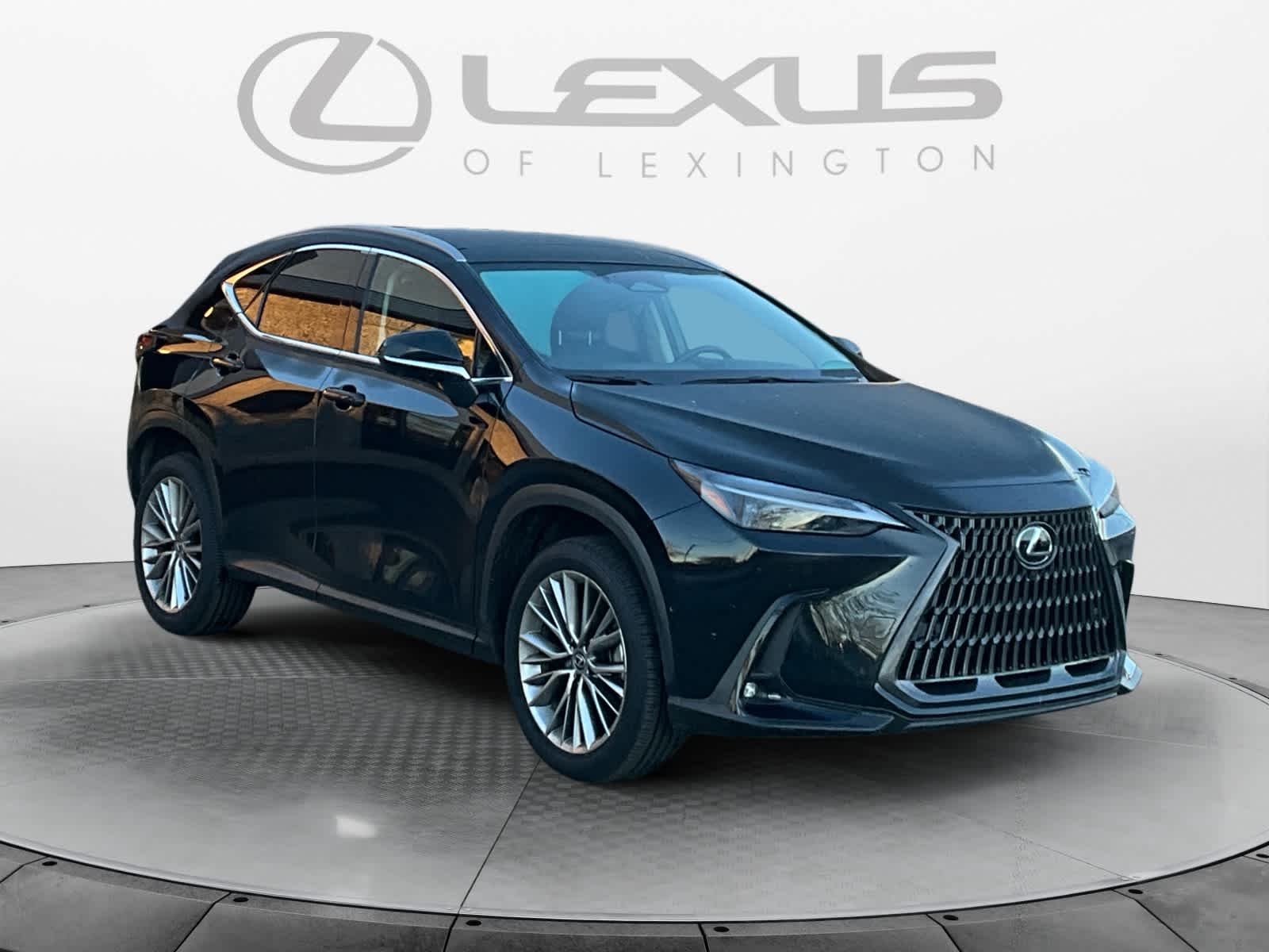 2025 Lexus NX 350h Luxury