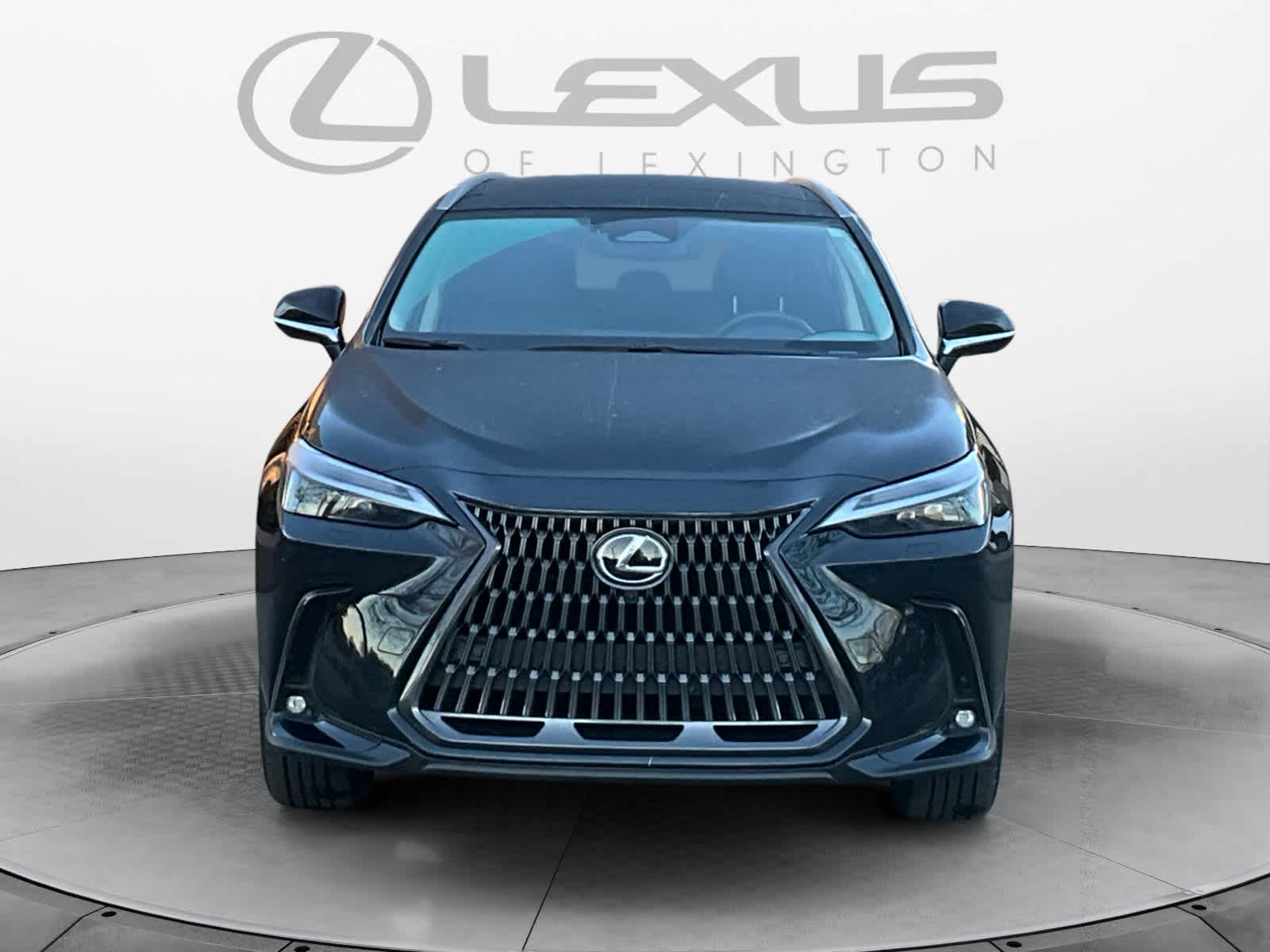 2025 Lexus NX 350h Luxury