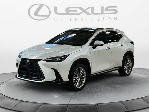 2024 Lexus NX 350h Luxury