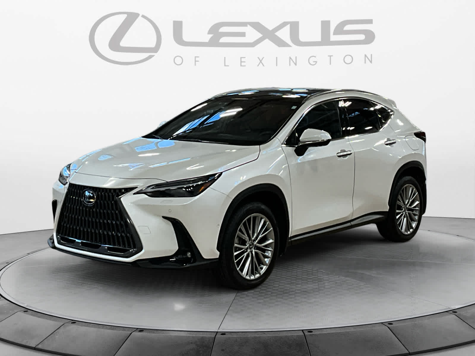 2024 Lexus NX 350h Luxury
