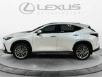 2024 Lexus NX 350h Luxury