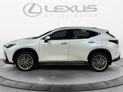 2024 Lexus NX 350h Luxury