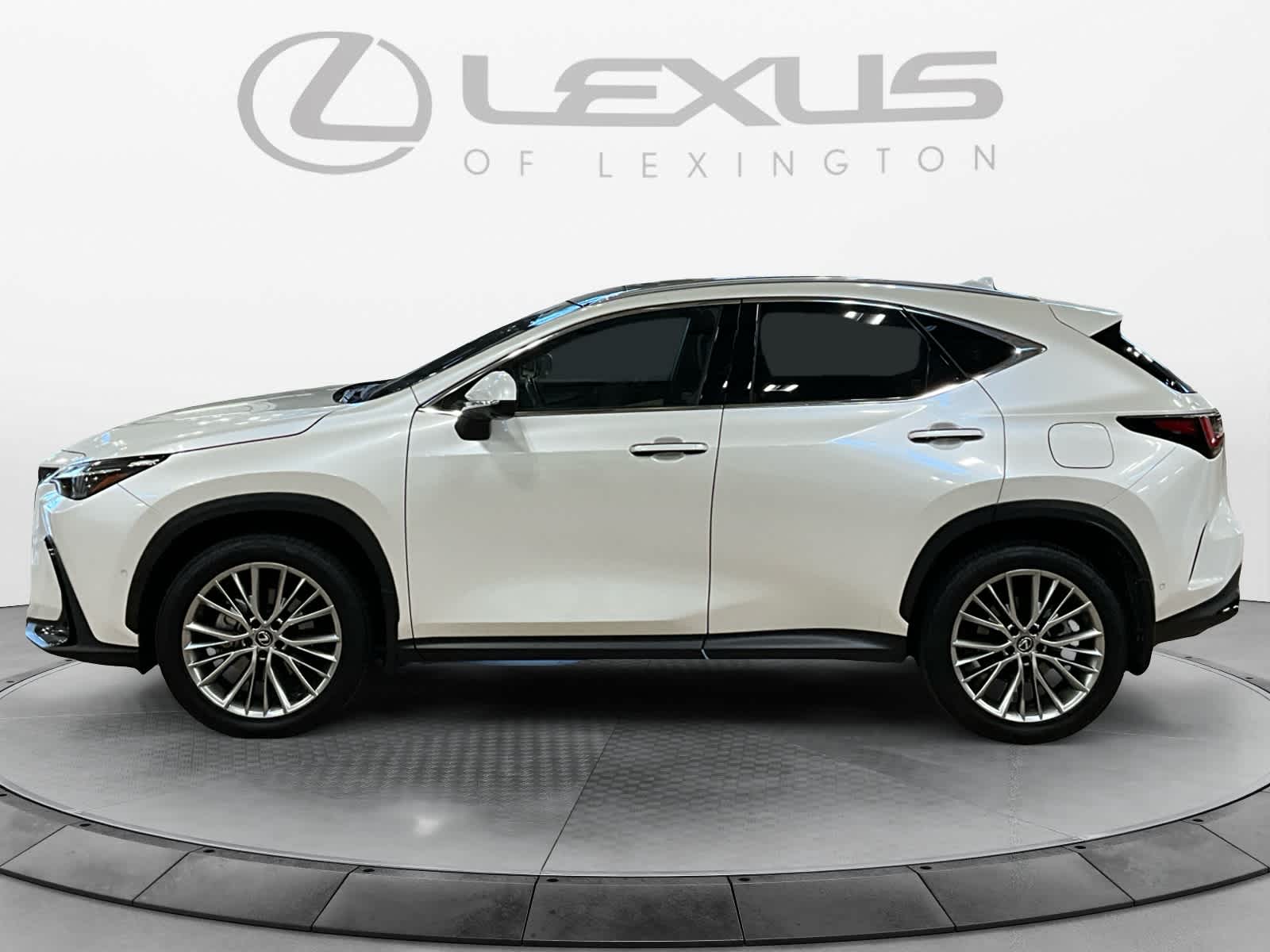 2024 Lexus NX 350h Luxury