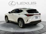 2024 Lexus NX 350h Luxury