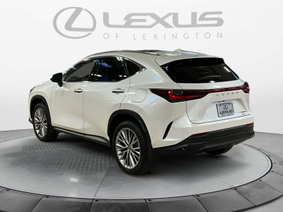 2024 Lexus NX 350h Luxury