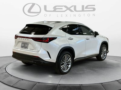 2024 Lexus NX 350h Luxury