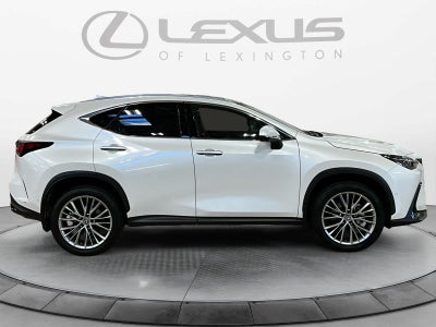 2024 Lexus NX 350h Luxury