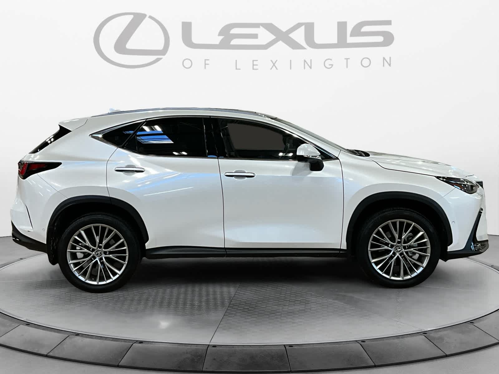 2024 Lexus NX 350h Luxury