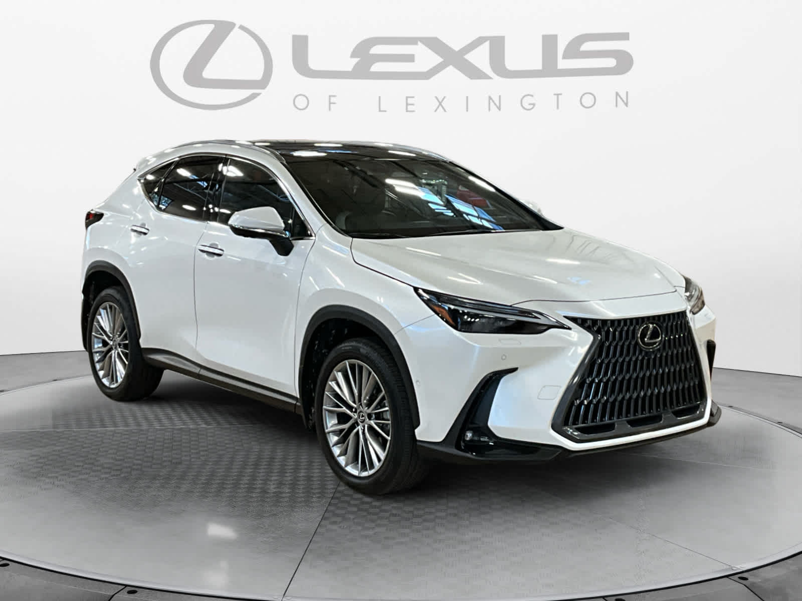 2024 Lexus NX 350h Luxury