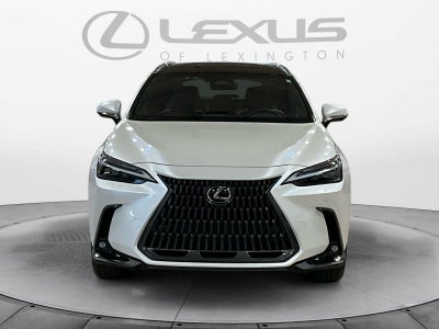 2024 Lexus NX 350h Luxury