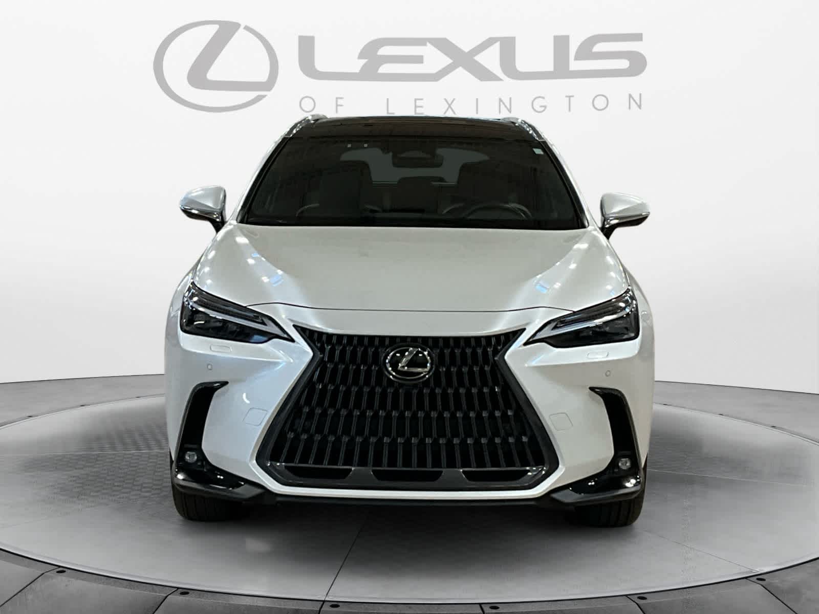 2024 Lexus NX 350h Luxury
